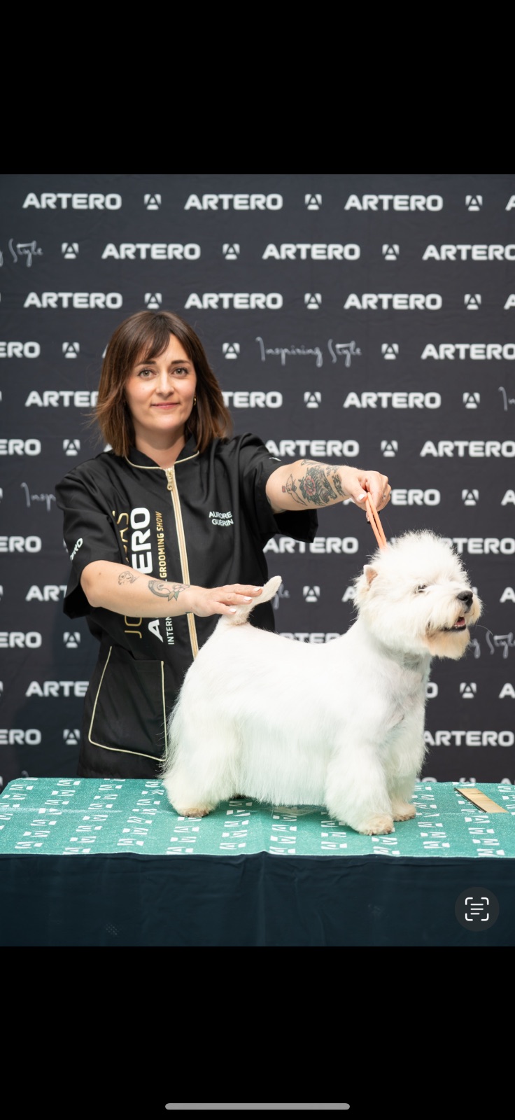 Le Comptoir du Toilettage